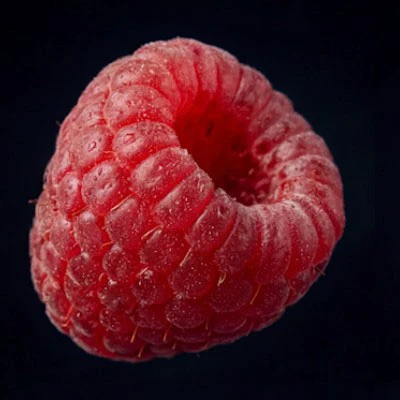 Magnum TripleTaste — GATE1 Studio