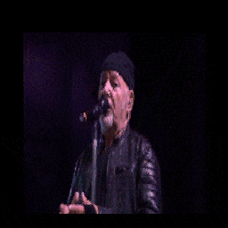 Vasco Live 2024 — GATE1 Studio