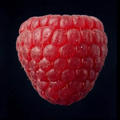 Magnum TripleTaste — GATE1 Studio